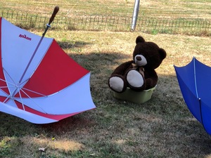 Ankörung Schweizer Club für Terrier SCFT<br>29.Juli 2018