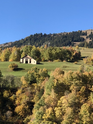 Savognin - das zweite Zuhause des Westierudels