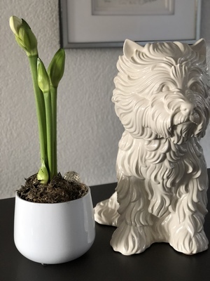 Jeff w&uuml;nscht ein gutes Neues Jahr 2019