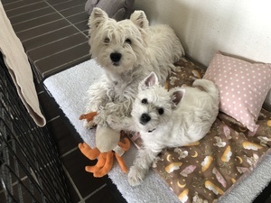 ...Baxter und Mami
