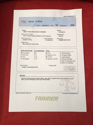 CACIB Aarau 29./30. Juni 2019